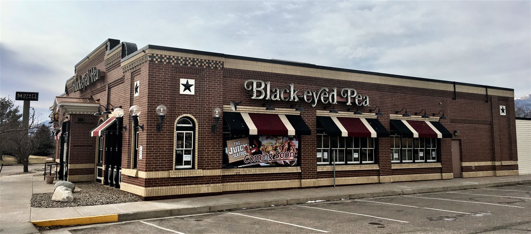 BLACK EYED PEA PHOTO 1